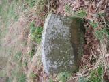 image of grave number 290549